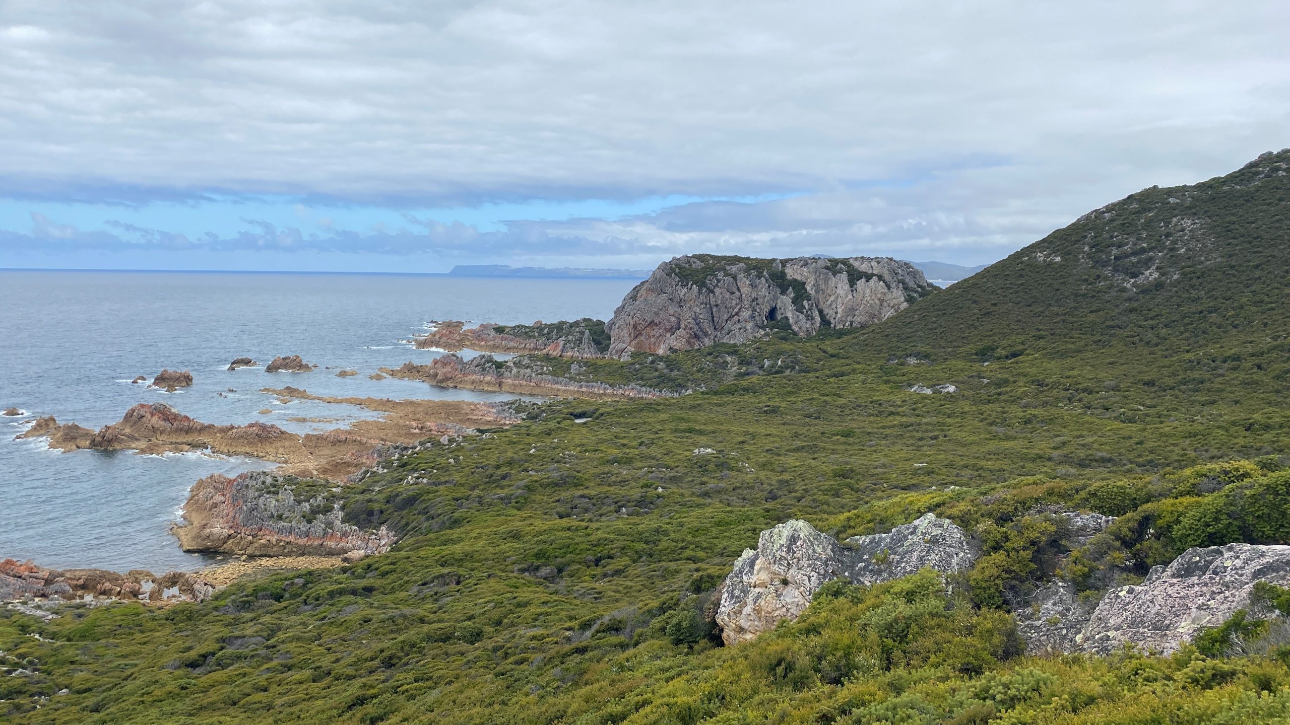 Looking east toward Sisters Beach and Table Cape in the distance